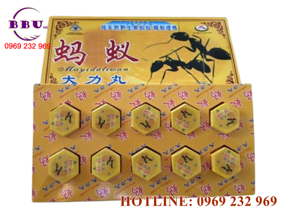 Kiến Càng Đen Tây Tạng là một loại thuốc cường dương và tăng cường sinh lực dành cho nam giới